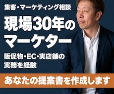 集客できない本当の原因を特定し提案書を作ります 費用をかけずにできる施策から、提案書にまとめて納品します