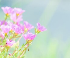 学生さんで将来に悩んでいる方！ 進路相談聞きます イメージ1