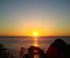 早朝限定！！モーニングコールします 朝4:00～6:00限定！絶対起きたい朝も安心♪