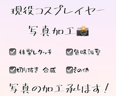 現役コスプレイヤーが画像の加工を行います イメージ1