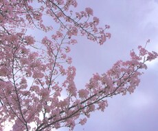 仕事、交友関係、家族、恋愛の愚痴を聞きます イメージ1