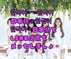 韓国語(ハングル文字)と日本語でやり取り出来ます イメージ1