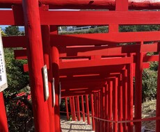 愚痴、相談、恋愛相談、電話で力になります イメージ1