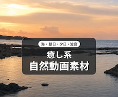癒しの自然動画素材を5本届けます YouTube・SNS用の癒し系自然動画です