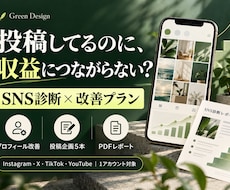 SNSを診断し収益化に向けた改善案をご提案します イメージ1
