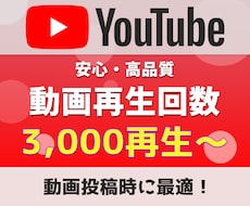 YouTube再生回数3,000回～増加させます ショート動画／複数動画への振り分けも可
