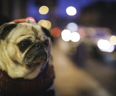 断酒したいのに飲酒欲求がつらいときお話し聞きます イメージ1