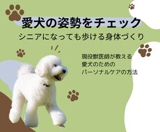 10歳以上のシニアのわんちゃんの姿勢チェックします イメージ1