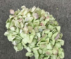 質問は一つ霊感にてお応えします 不安に思ったりわからなくなった時お気軽にお声掛けください