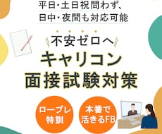 キャリコン試験面接対策　丁寧なFBでご支援します イメージ1