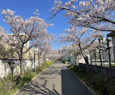 お薬の相談、進路の相談何でも伺います 飲み合わせ、飲み方、お通じ、睡眠、痩せたい、健康に生きたい方