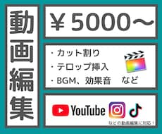 こみこみ5000円〜丁寧に動画編集いたします YouTube向け動画編集以外もお任せください！！