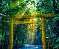 家族的な悩み等お聞きします 私の人生生活経験から、おききします。宜しくお願い致します。