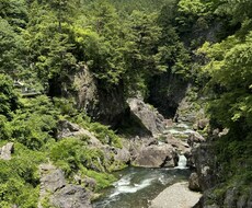 経験豊富なキャリアコンサルタントがサポートます イメージ1