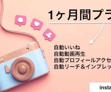 インスタグラムの自動いいねなどのプランを提供します イメージ1