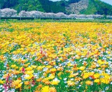 その悩み事、なんでも相談に乗ります イメージ1