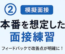 就活の進め方や戦略について個別に相談に乗ります イメージ1