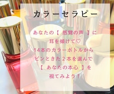 直感でピンときた2本はどれ？私が通訳いたします イメージ1