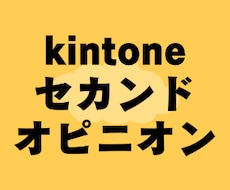 kintoneのセカンドオピニオンをします kintoneの運用に関する二次的な相談窓口です