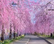 誰かと話したい時聞いて欲しい時私がいますます イメージ1