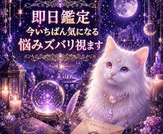 即日鑑定｜今いちばん気になる悩みズバリ視ます 今いちばん気になるテーマを恋愛・仕事・人間関係なんでも視ます