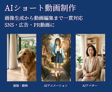 AIを活用したショート動画を制作します イメージ1