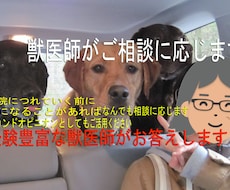 獣医師があなたのご相談を承ります イメージ1