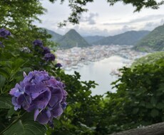 お子さまの成長の中での困りごとにお答えします イメージ1