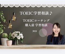 TOEICコーチング購入前相談にのります イメージ1