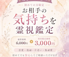 はじめましての方へ｜お相手の気持ちを霊視します 通常鑑定と変わらない内容を初めての方限定価格でお届けします