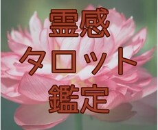 霊感タロット鑑定・丁寧な鑑定であなたの心を癒します お悩み解決のヒントを与え、穏やかになれる時間をお届けします！
