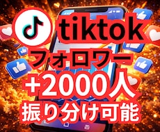 tiktokのフォロワー2000人増やします ✨オプションで2000人以上もOK✨振り分け可能✨