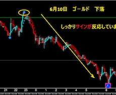 FXで専業（スキャルピング）デイレ－ドになります ゴ－ルド通貨以外でも大丈夫です