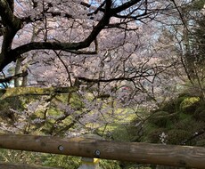 貴方の悩み紳士に受け止めます イメージ1