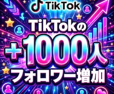 TikTokの海外フォロワー1000人〜増加します イメージ1