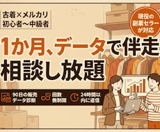 副業古着メルカリを1か月データで伴走サポートします 販売データを見ながら1か月相談し放題。現役副業セラーが伴走