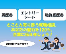 エントリーシート、履歴書の添削を行います イメージ1