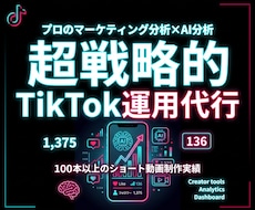 プロのマーケターがTikTokを戦略的に運用します イメージ1