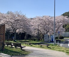 心の相談お受けします イメージ1