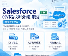 SalesforceのCSV取込を支援します イメージ1