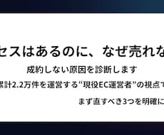 現役EC運営者が、サイトのCV改善点を診断します 「アクセスはあるのに成約しない」を、運営者の目で見ます