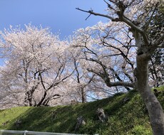 世間話から愚痴まで待っています イメージ1