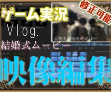 動画編集丸投げOK!!詳細に要望をお聞きします