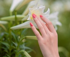 丁寧に1日中♥占います 朝9時〜夜21時までのゴージャスメニューです♥♥♥