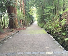 ビジョンクエストタロットで占います イメージ1