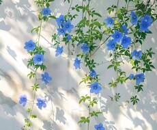 気軽に相談してください。なんでも聞きます イメージ1