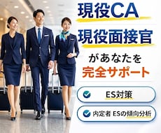 現役面接官、現役CAが丁寧にES添削します イメージ1