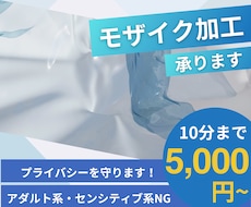 動画のモザイク、ぼかし加工します 丁寧に迅速にプライバシーを守ります