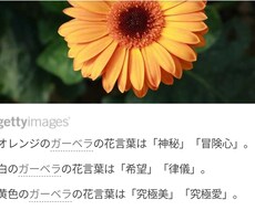 あなたの心に寄り添います イメージ1