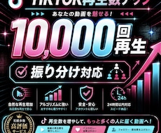TikTok再生数＋10,000増やします イメージ1